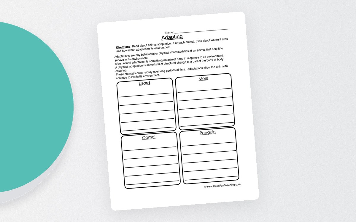 Animal Adaptations Worksheet – Physical and Behavioral preview
