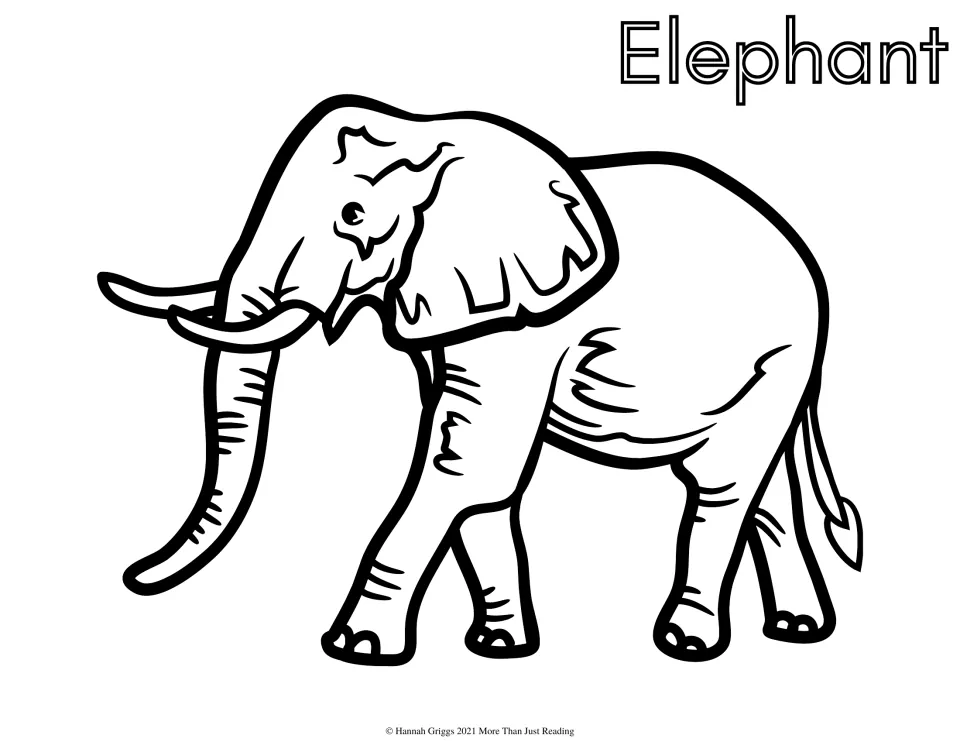 Elephant coloring page: students color a large walking elephant with long tusks, a hanging trunk and big ears
