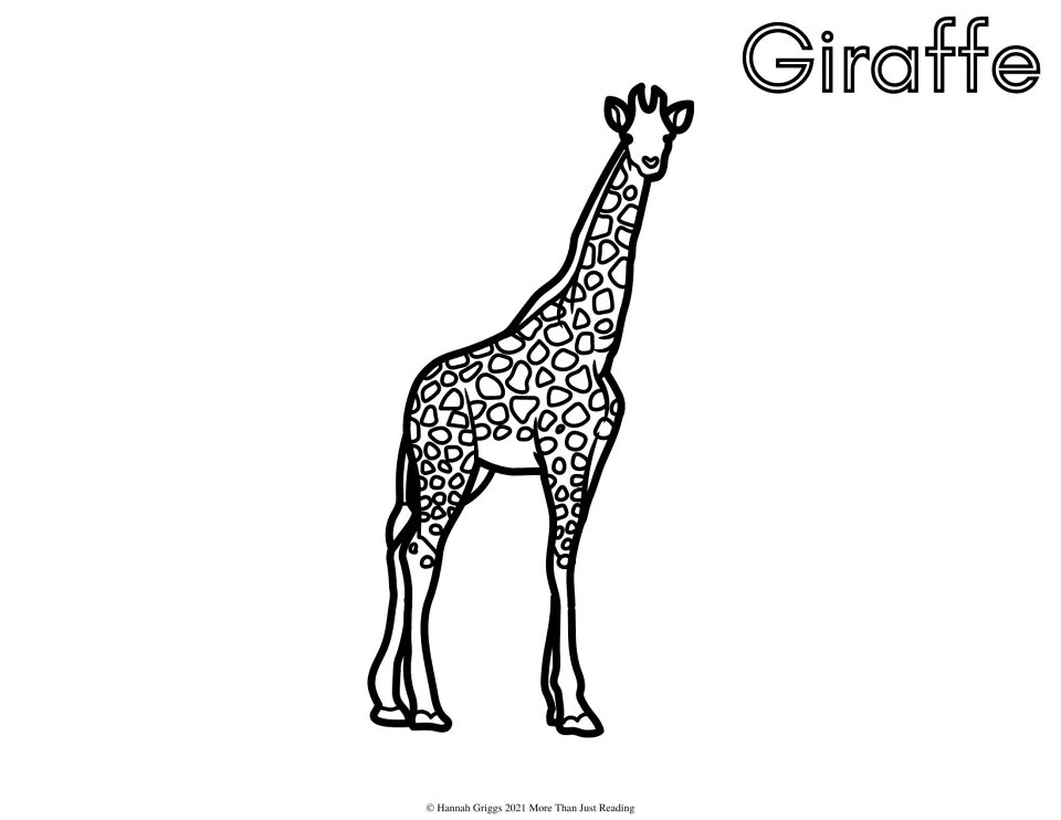 Giraffe coloring page: students color a tall standing giraffe with a long neck and patchy spots across its body