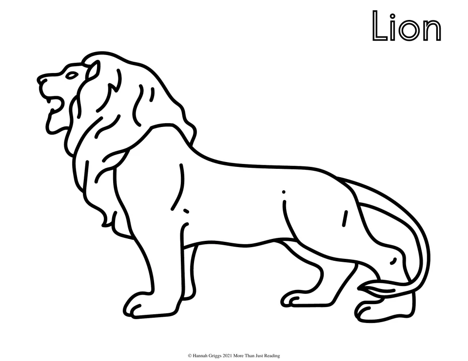 Lion coloring page: students color a male lion in side view, roaring with its mouth open and a full flowing mane