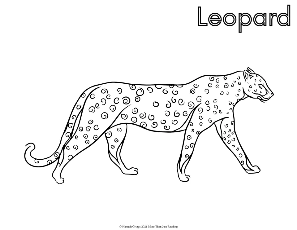 Leopard coloring page: students color a prowling leopard covered in swirl-shaped spots, its long tail curled at the end