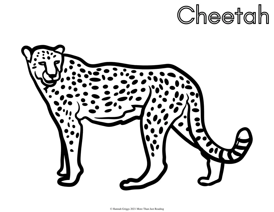 Cheetah coloring page: students color a standing cheetah with small solid spots, a ringed tail tip and a face looking out