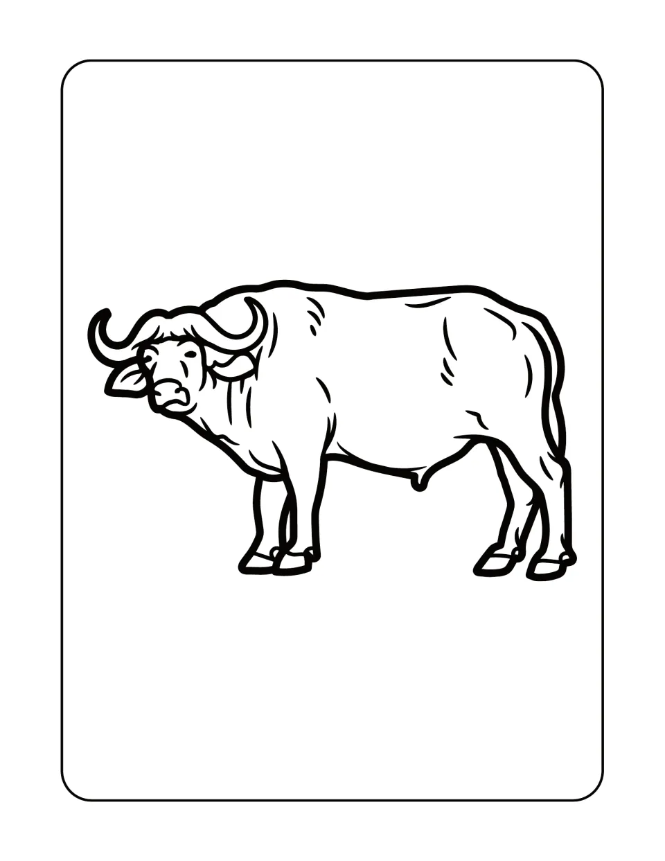 Unlabeled buffalo outline: students color a more realistic side view of a horned buffalo standing with its head turned