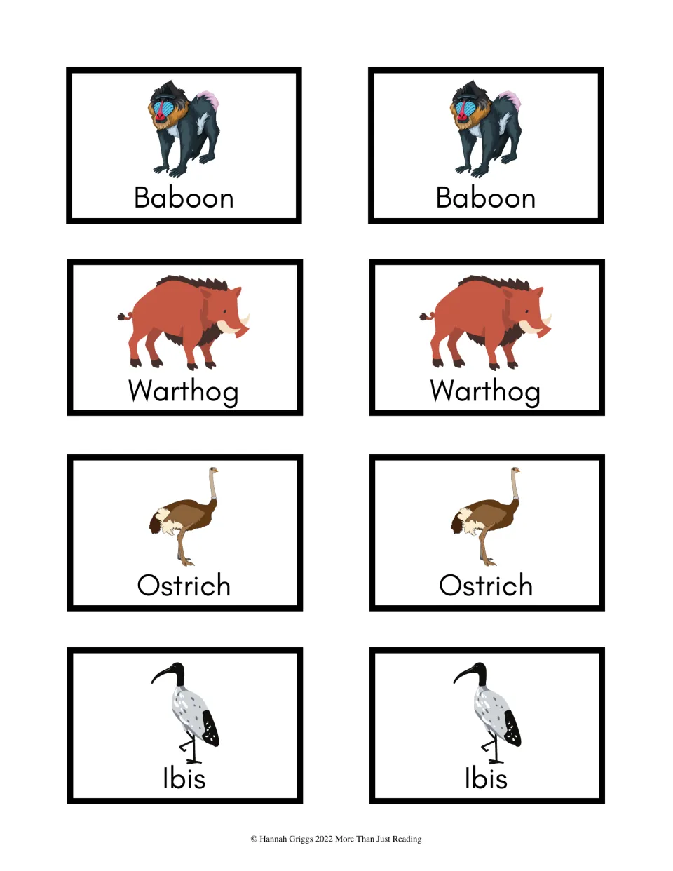 Animal game cards 33–40: paired animal illustrations labeled Baboon, Warthog, Ostrich and Ibis