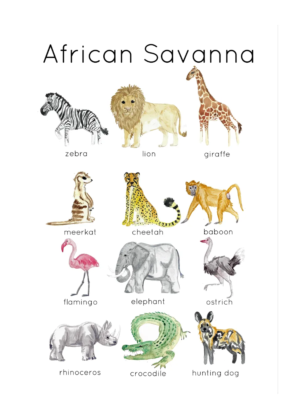 Animal identification poster showing 12 labeled savanna animals, including zebra, lion, giraffe, and meerkat.