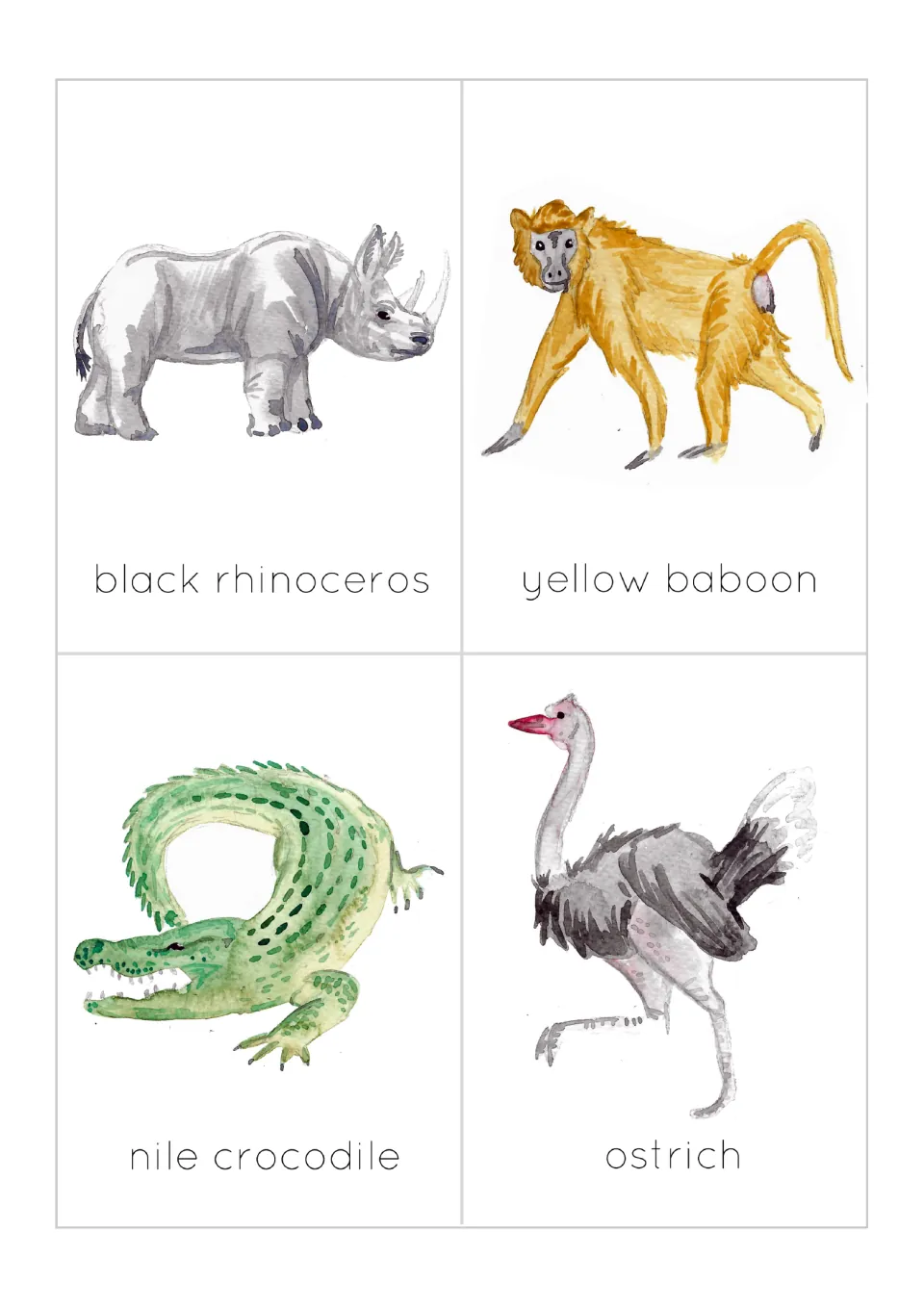 Flashcards 1–4: black rhinoceros, yellow baboon, Nile crocodile, and ostrich, each pictured and labeled.