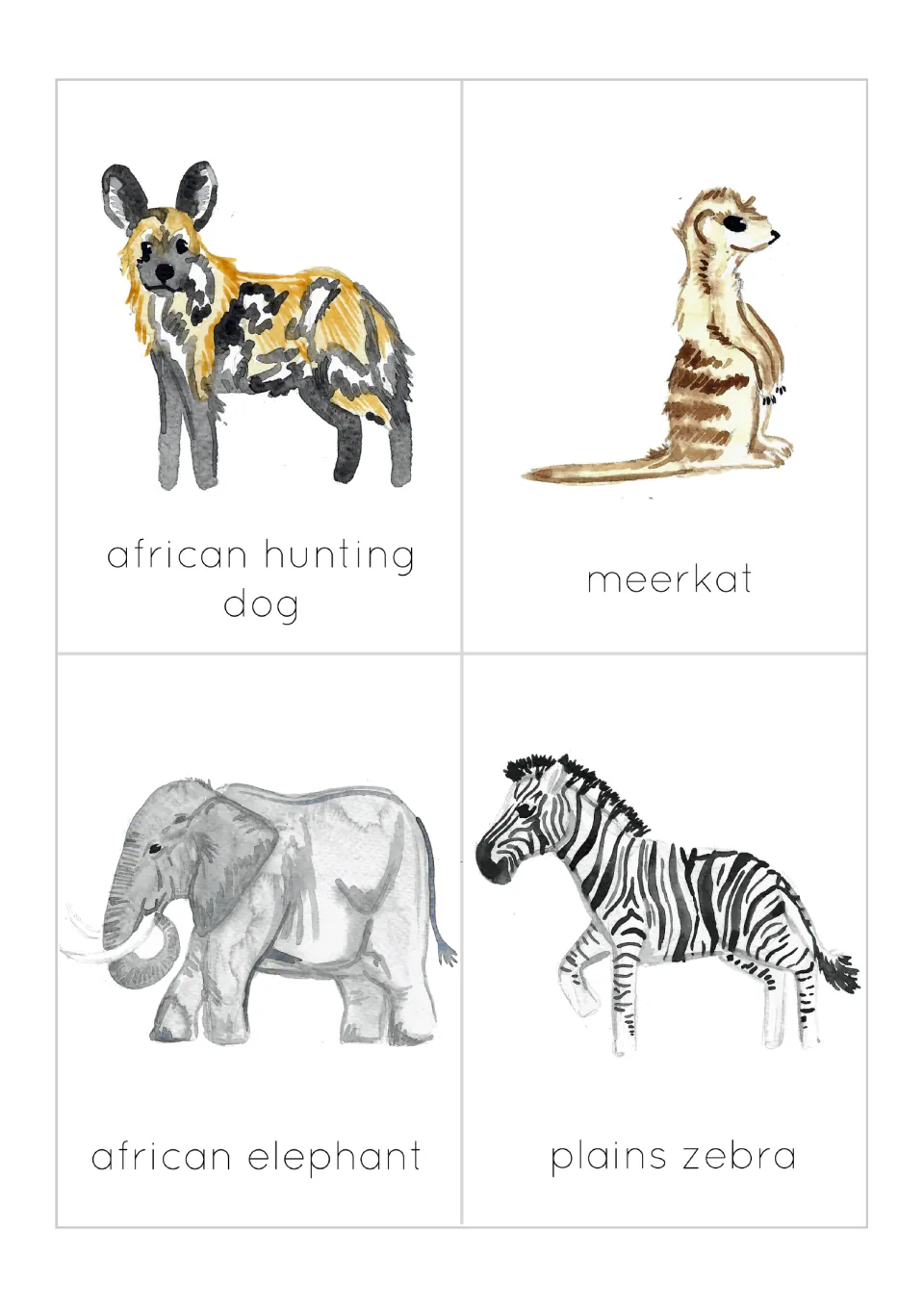 Flashcards 5–8: African hunting dog, meerkat, African elephant, and plains zebra, each pictured and labeled.