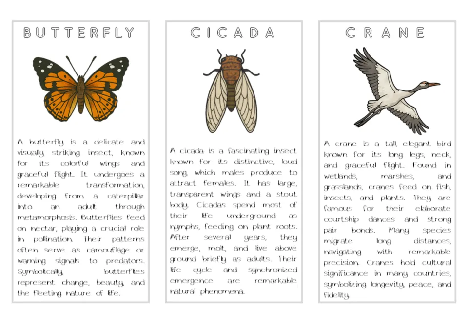 Air animal reading cards for butterfly, cicada, and crane, with color illustrations and descriptive text