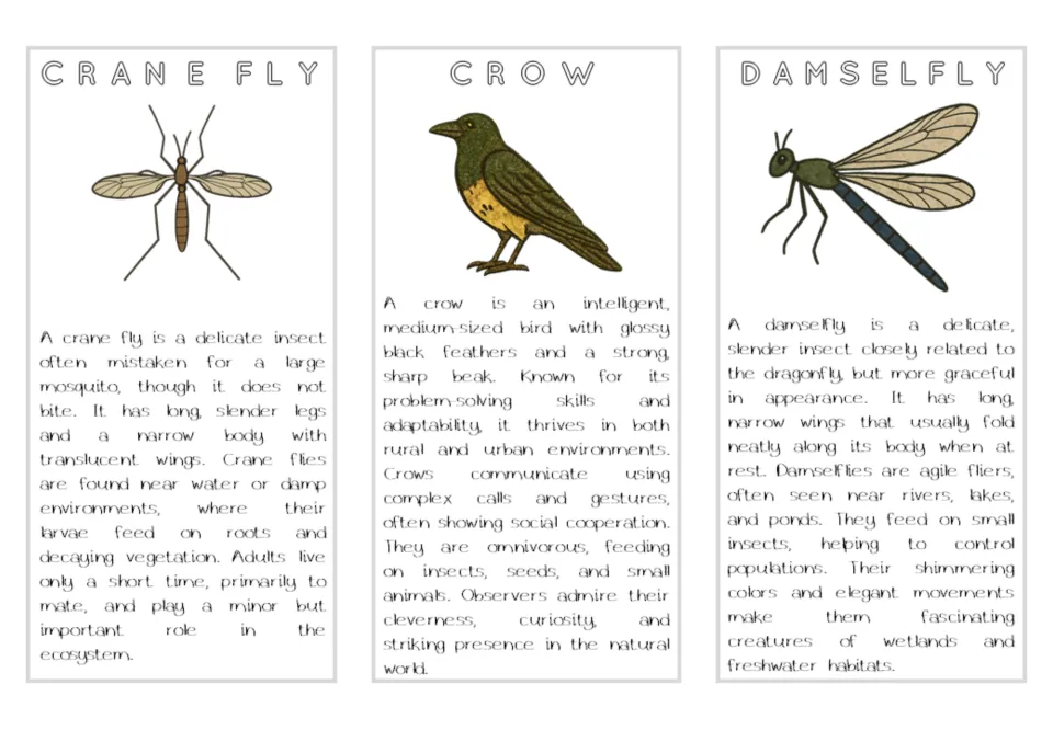 Air animal reading cards for crane fly, crow, and damselfly, with color illustrations and habitat facts