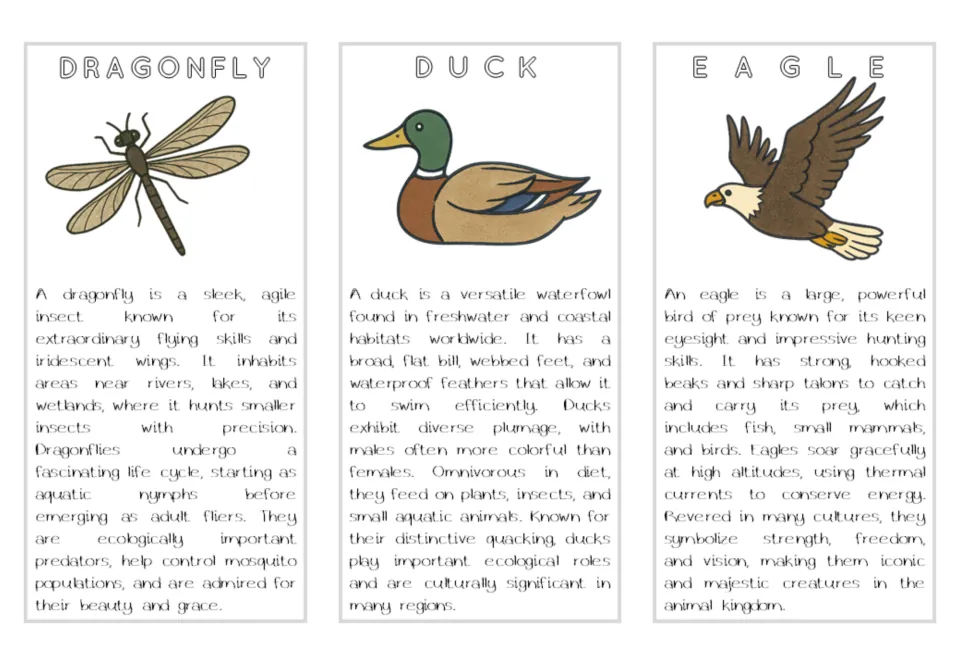 Air animal reading cards for dragonfly, duck, and eagle, with color illustrations and feeding facts