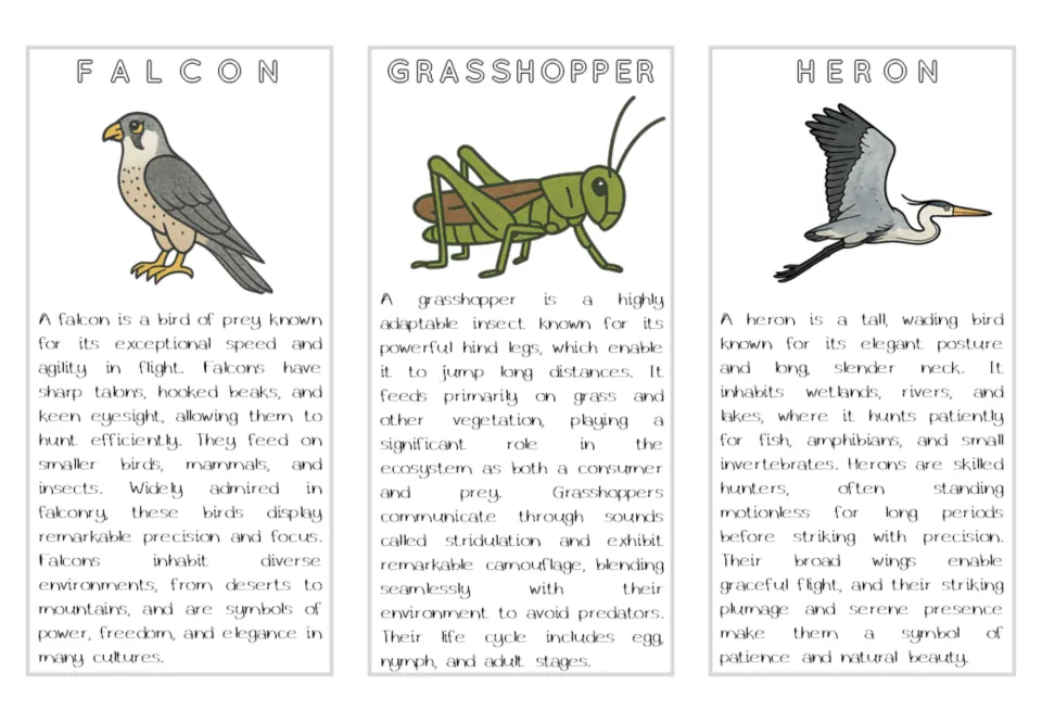Air animal reading cards for falcon, grasshopper, and heron, with color illustrations and descriptive text