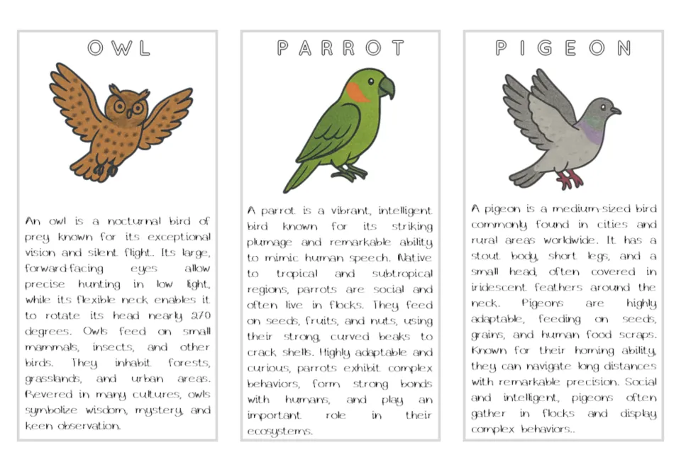 Air animal reading cards for owl, parrot, and pigeon, with color illustrations and descriptions of behavior