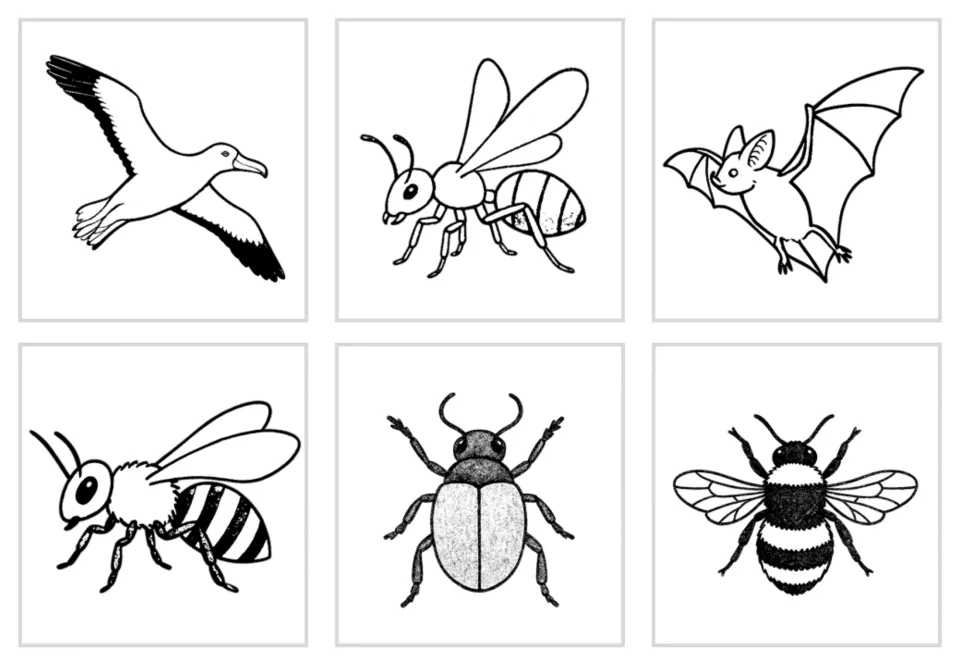 Black-and-white line-art versions of the albatross, winged ant, bat, bee, beetle and bumblebee picture cards