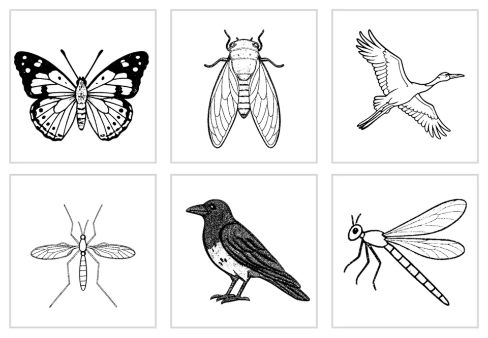 Line-art cards repeating the second sheet: butterfly, cicada, crane, crane fly, crow and damselfly in black and white
