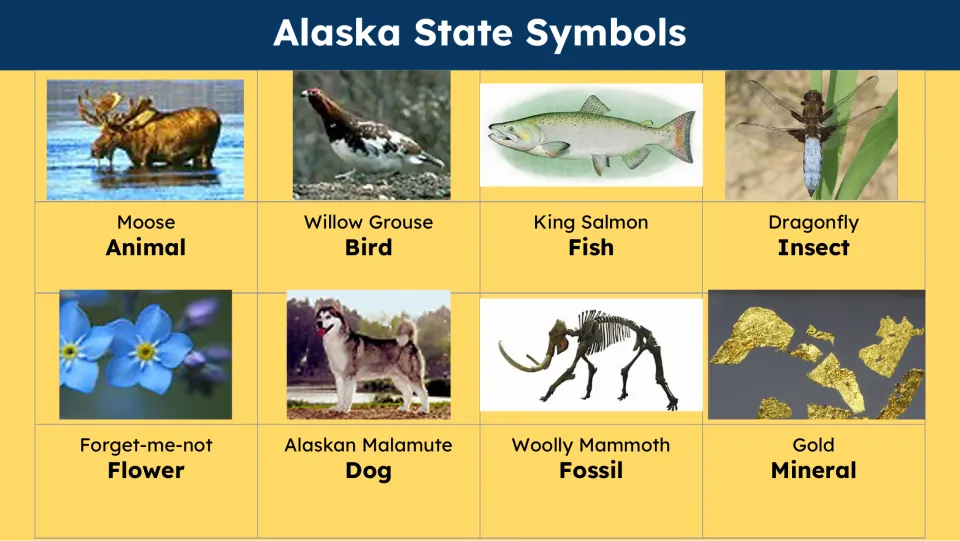State symbols slide pairs pictures with moose, willow grouse, king salmon, dragonfly, and four more labels