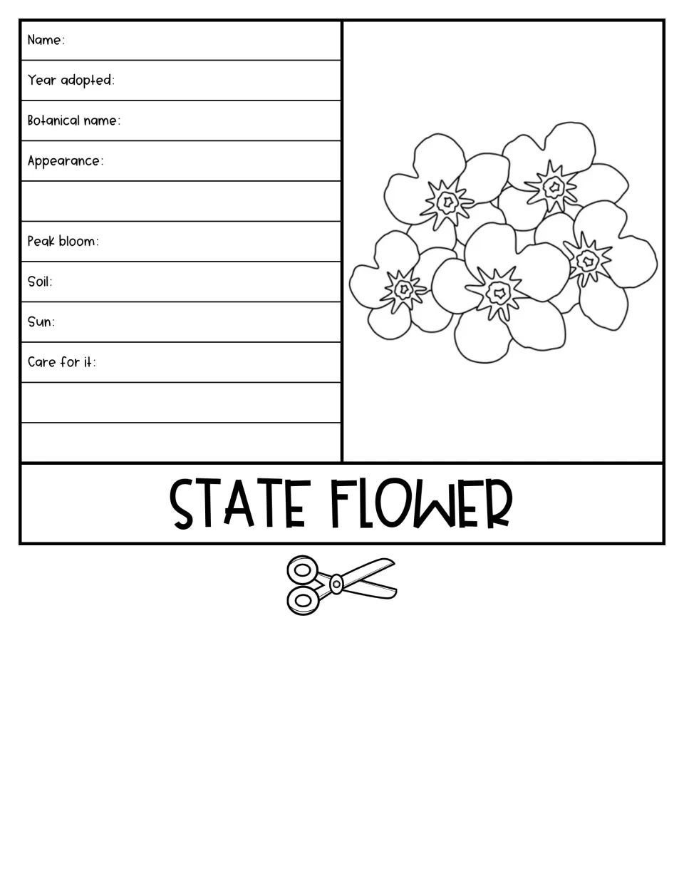 State flower flap: students note its name, botanical name, appearance, peak bloom, soil, sun and care beside a drawing