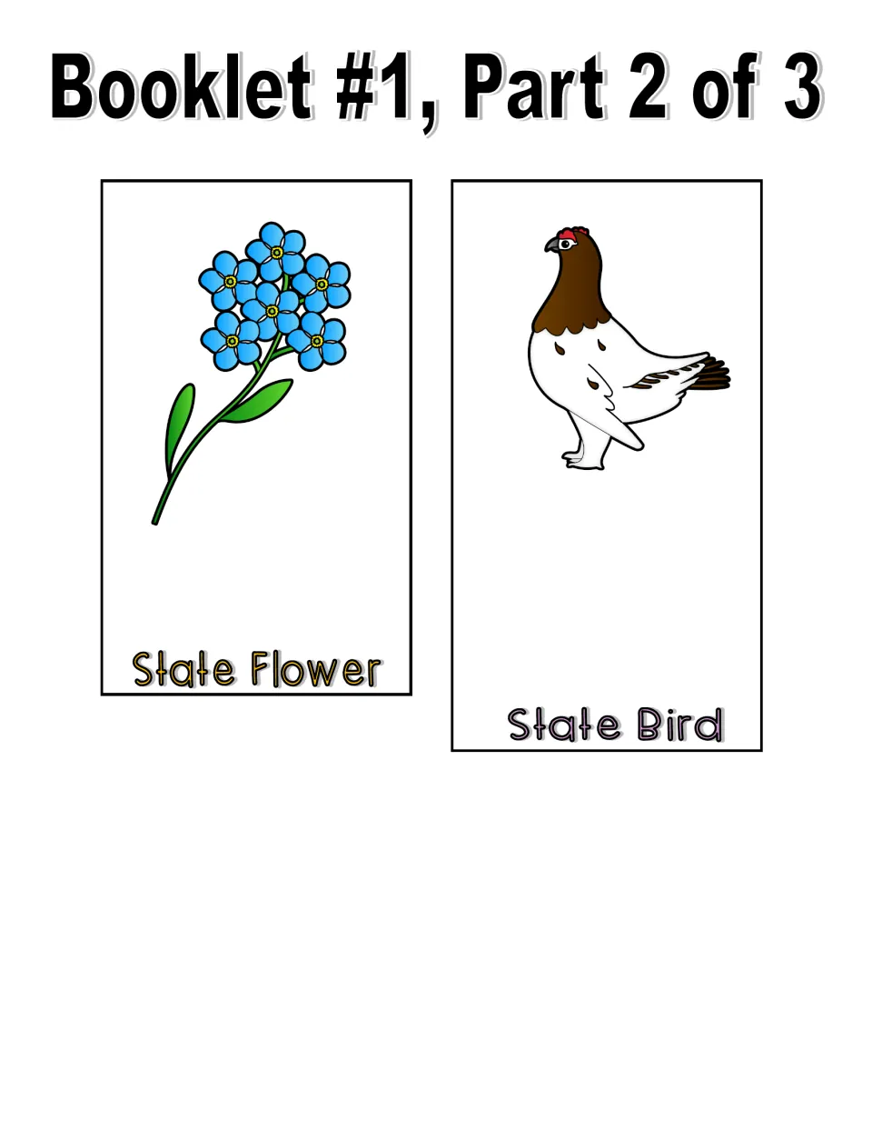 Color booklet cut-out pieces, part 2: blue flower cluster on the State Flower flap, brown and white bird on State Bird