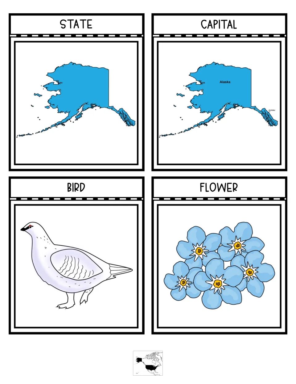 Notebook pieces for state, capital, bird and flower: Alaska map, Juneau marked, willow ptarmigan and forget-me-not art