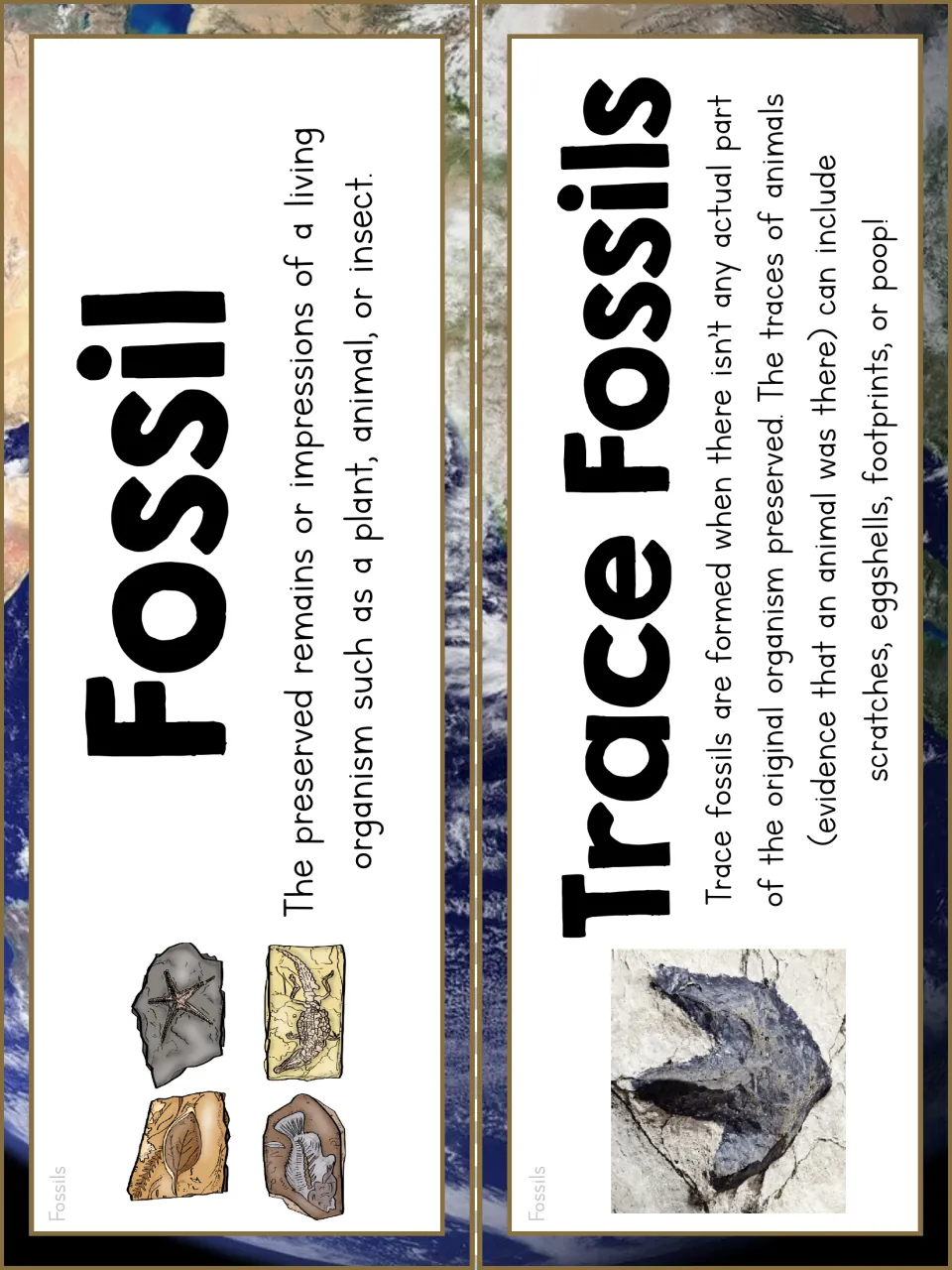 Fossil vocabulary cards defining Fossil and Trace Fossils, with fossil drawings and a dinosaur footprint photo