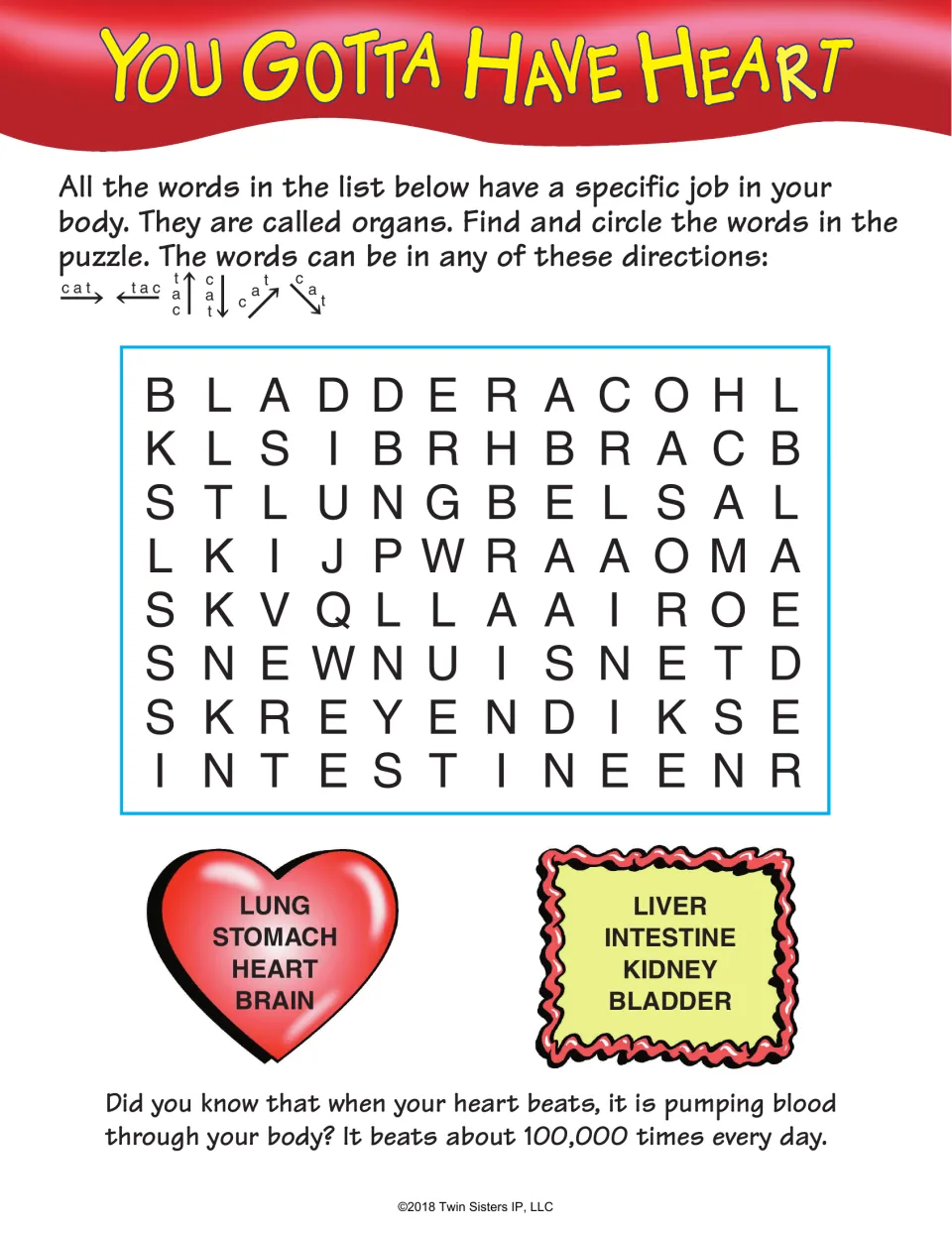 You Gotta Have Heart organs search: students circle lung, stomach, heart, brain, liver, intestine, kidney and bladder