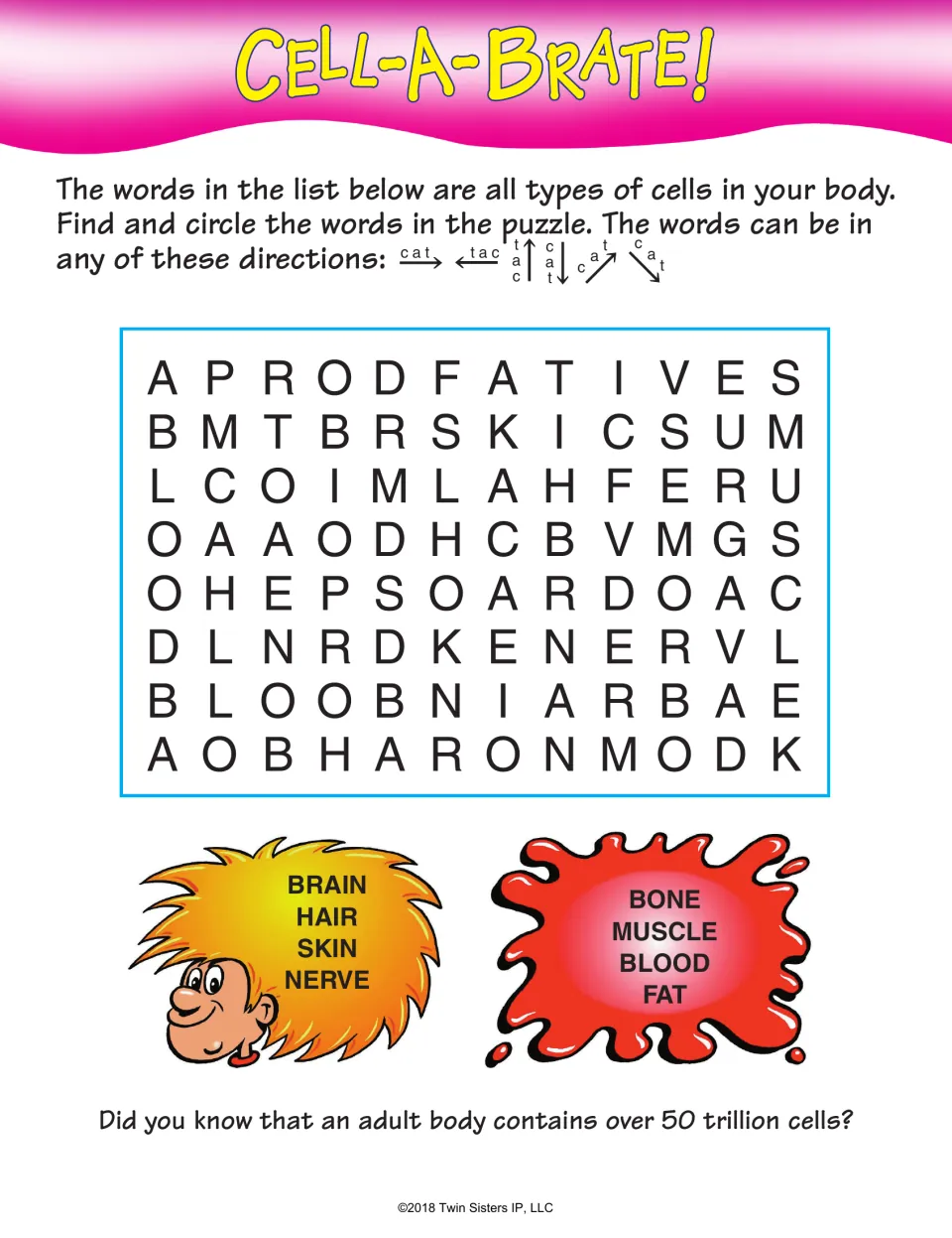 Cell-A-Brate! cell types search: students circle brain, hair, skin, nerve, bone, muscle, blood and fat in the letters