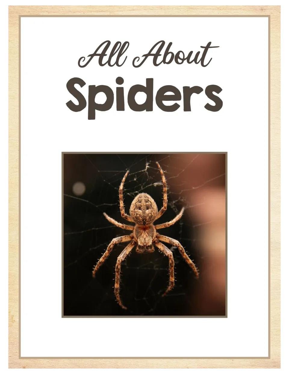 Cover of All About Spiders, an animal science unit, featuring a close-up photograph of a spider on its web