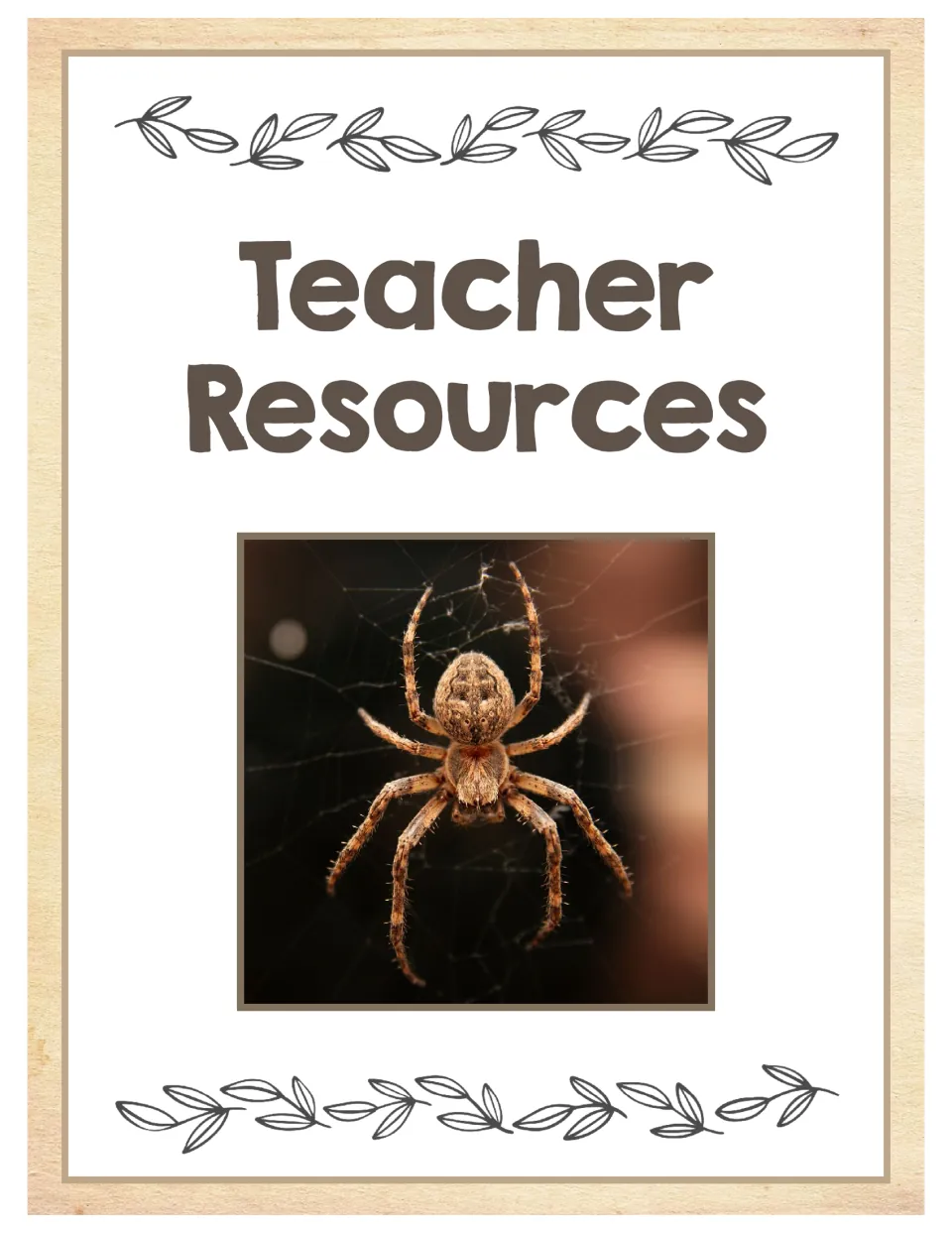 Teacher Resources section cover introducing the spider unit's discussion, activity, book, and video pages