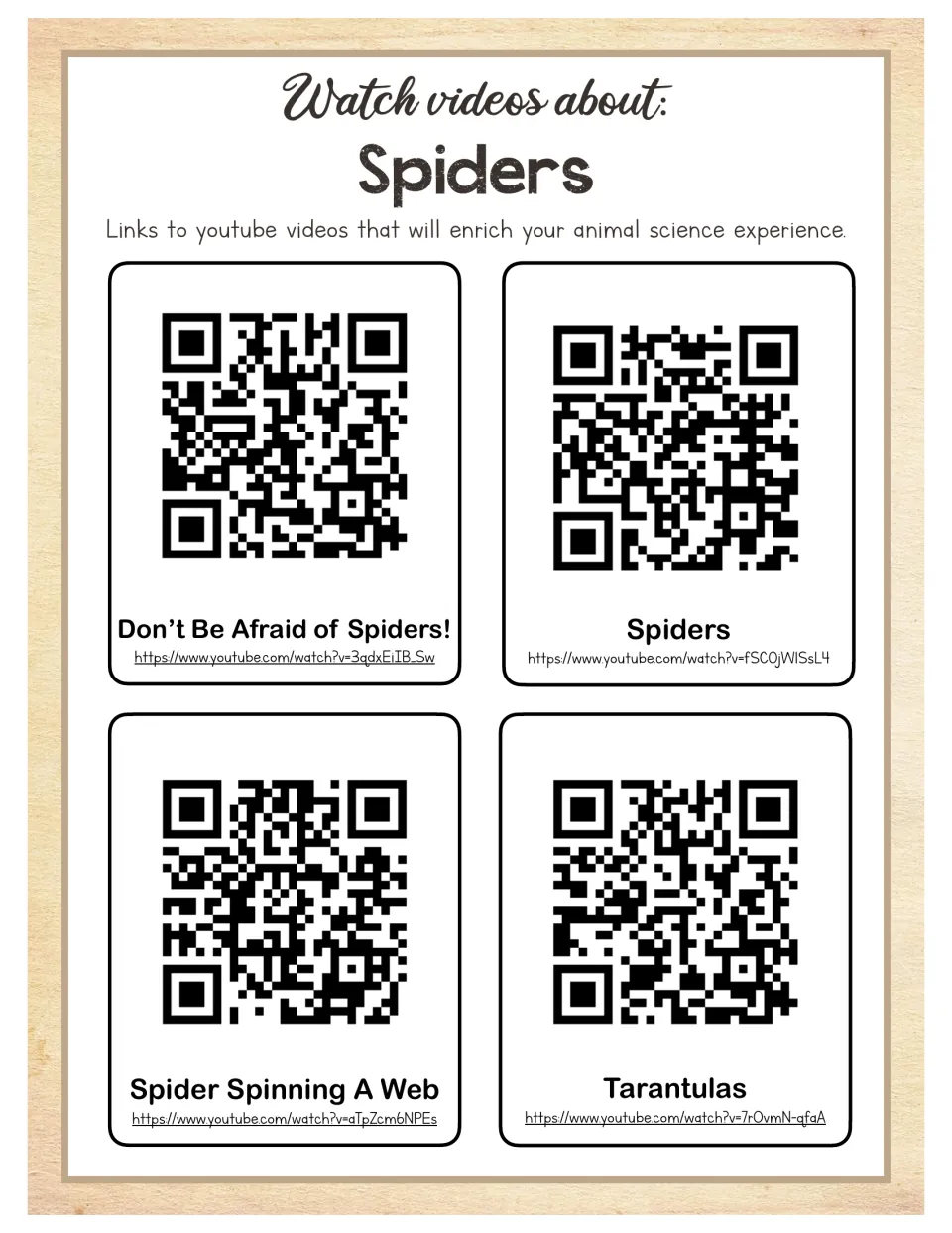 Spider video guide with four QR codes and links about spider fears, general facts, web spinning, and tarantulas