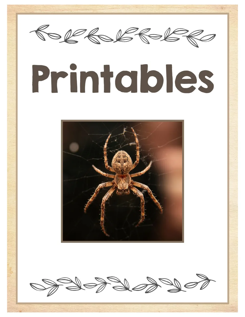 Printables section cover marking the start of the spider unit's printable materials, with a spider photograph