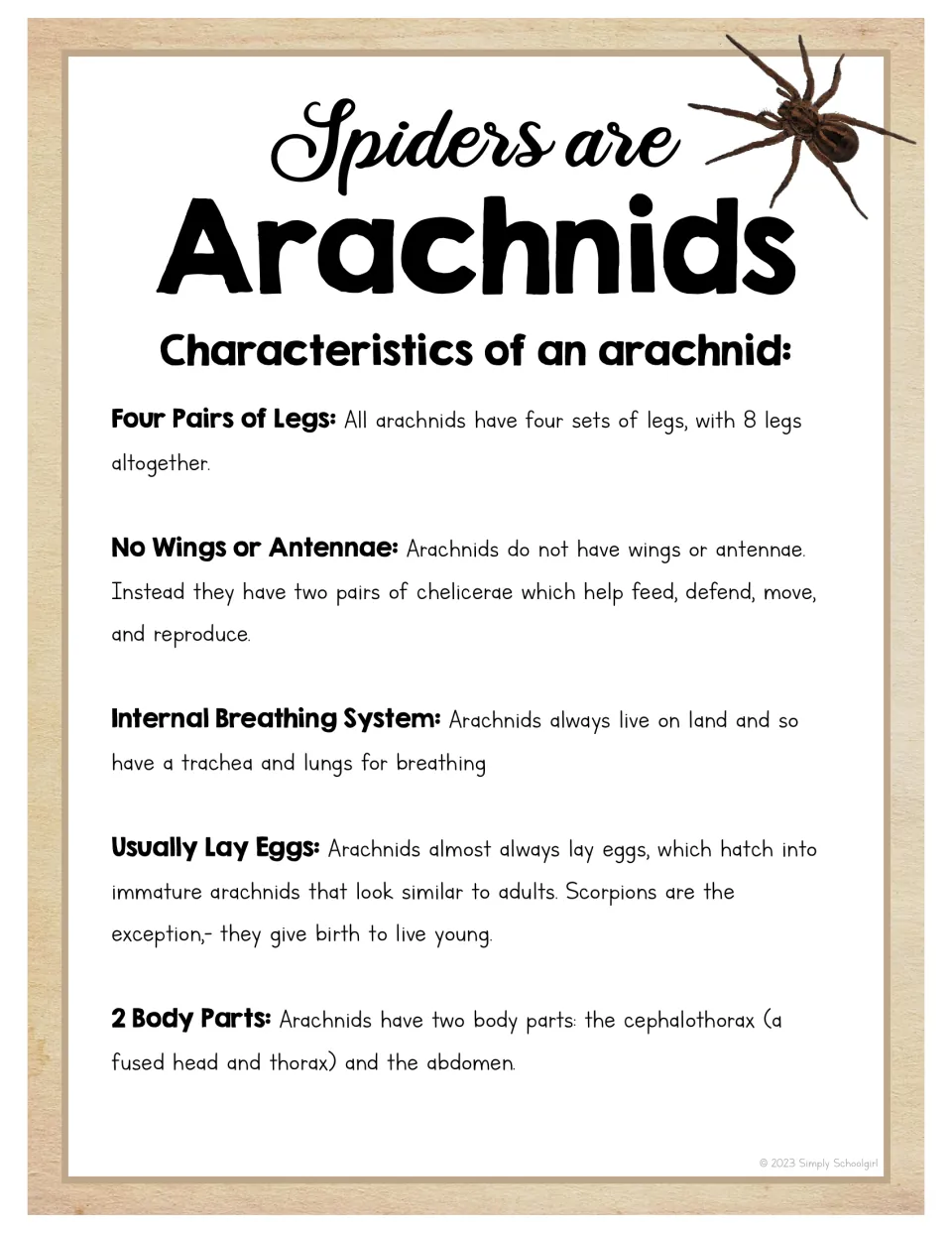 Arachnid poster covering eight legs, no wings or antennae, breathing, reproduction, and two body parts