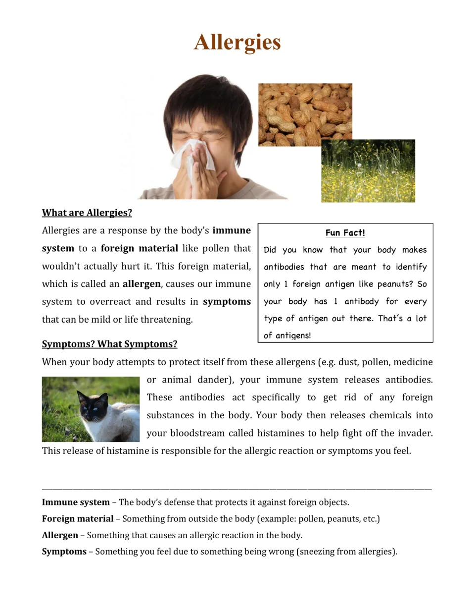 Allergies article: students read how allergens trigger the immune system, antibodies and histamines, with a vocabulary list