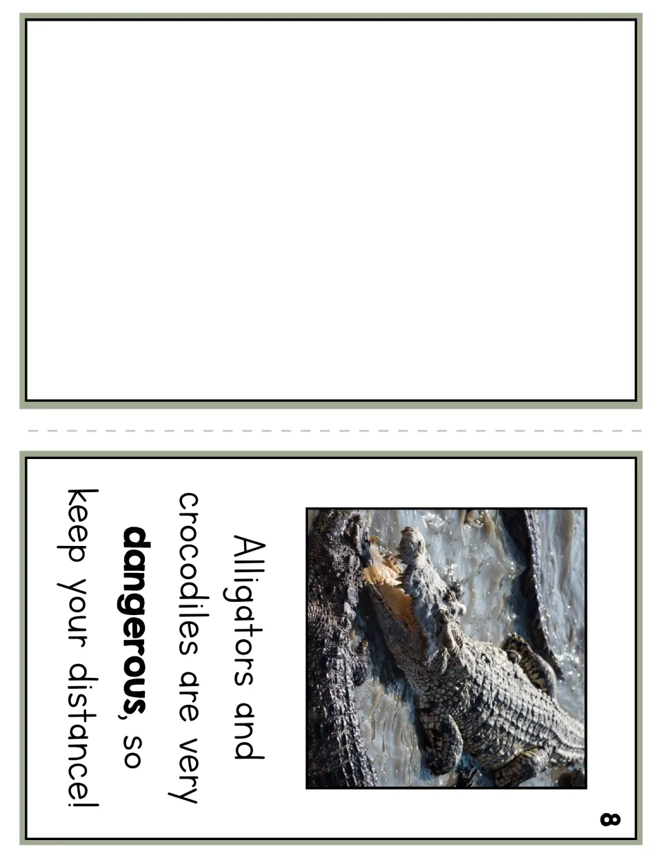 Reader page 8 pairs a crocodile photo with a warning that both reptiles are dangerous and to keep your distance