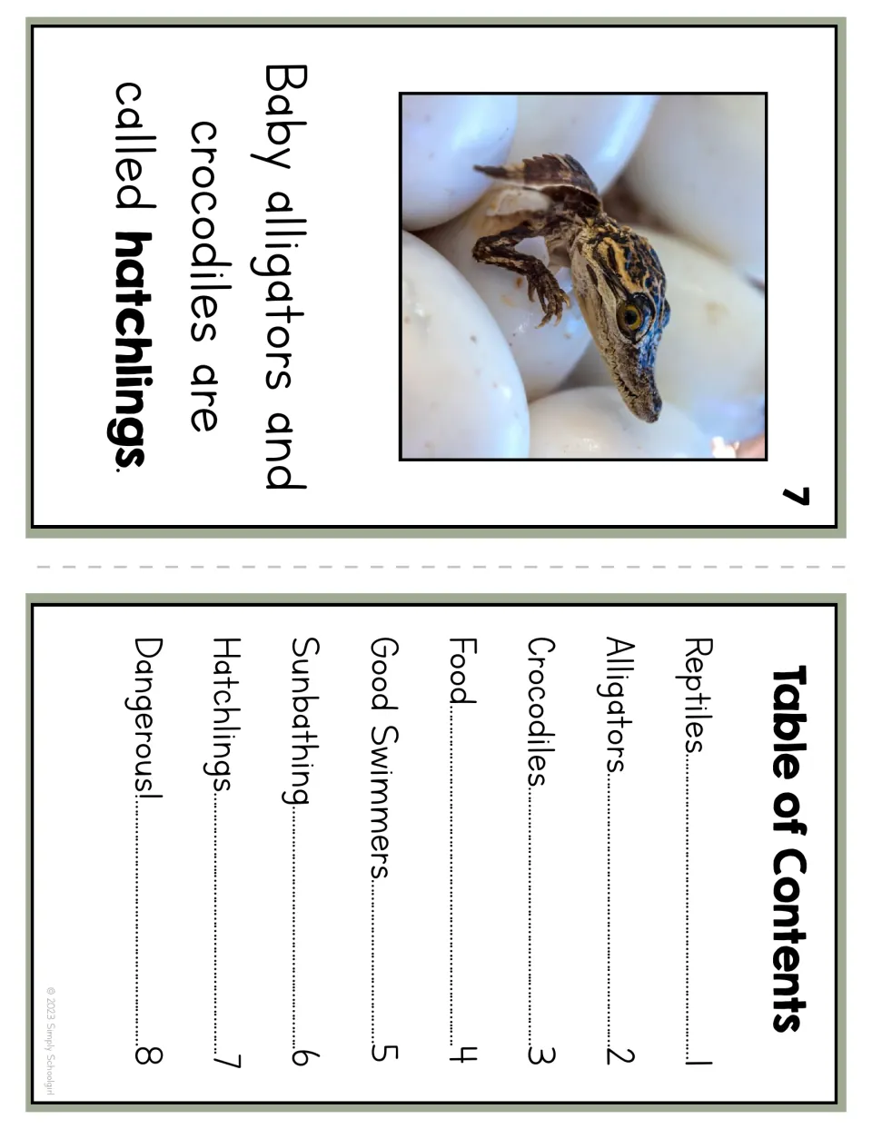 Reader page 7 names baby alligators and crocodiles hatchlings; the contents lists eight reading topics