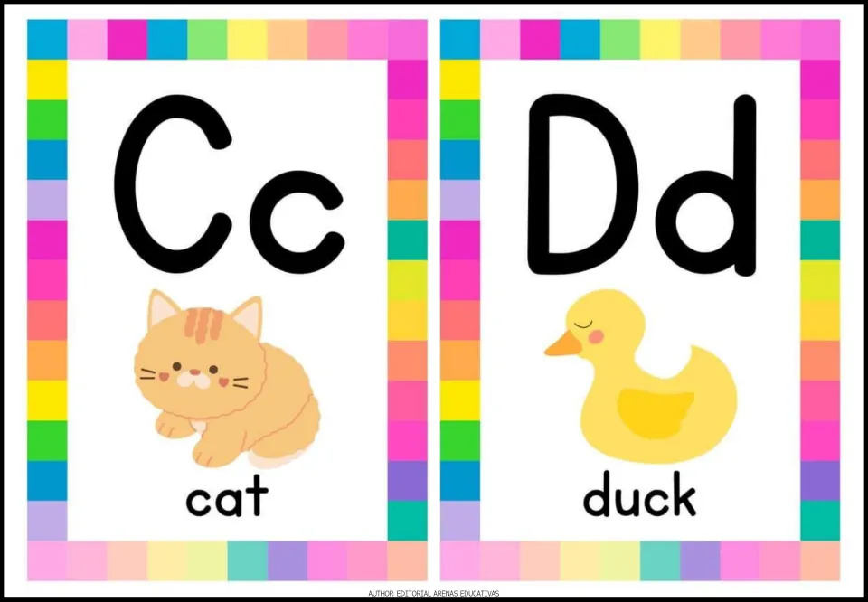 Alphabet cards 3–4: uppercase and lowercase Cc and Dd, with labeled pictures of a cat and a duck