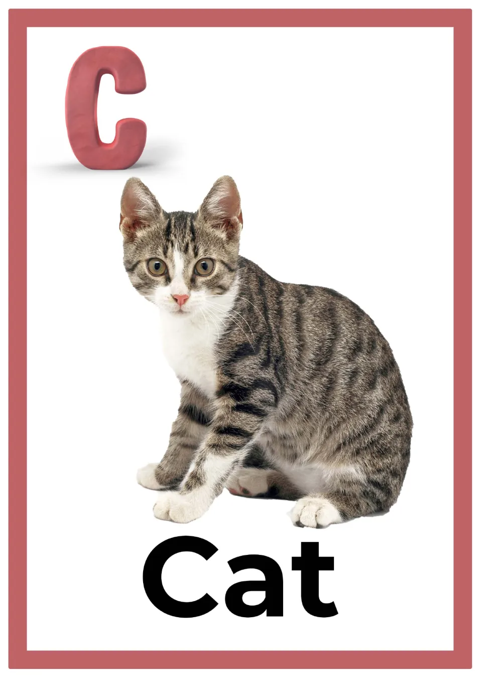 Letter C alphabet card: a pink clay capital C above a photo of a sitting tabby kitten, labeled with the word Cat
