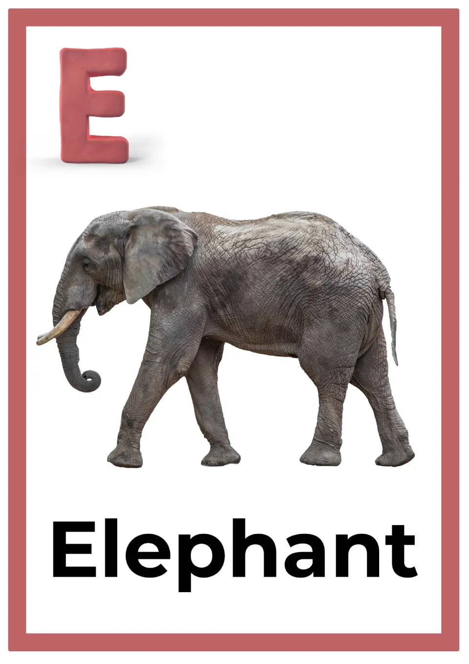 Letter E alphabet card: a pink clay capital E above a photo of a walking gray elephant, labeled with the word Elephant