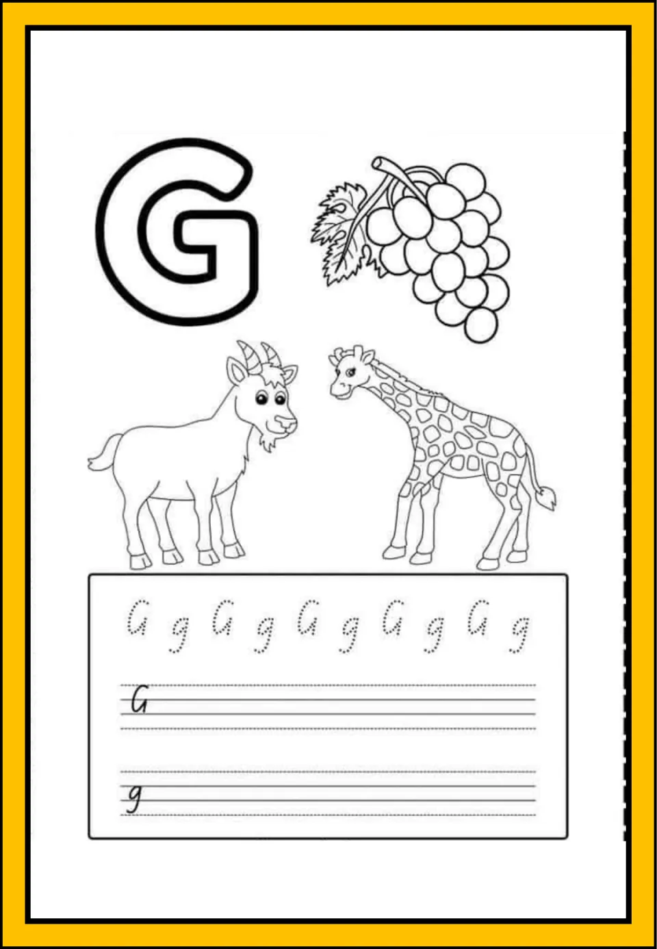 Letter G handwriting: students trace dotted G and g, write each form on lines, and color grapes, a goat and a giraffe