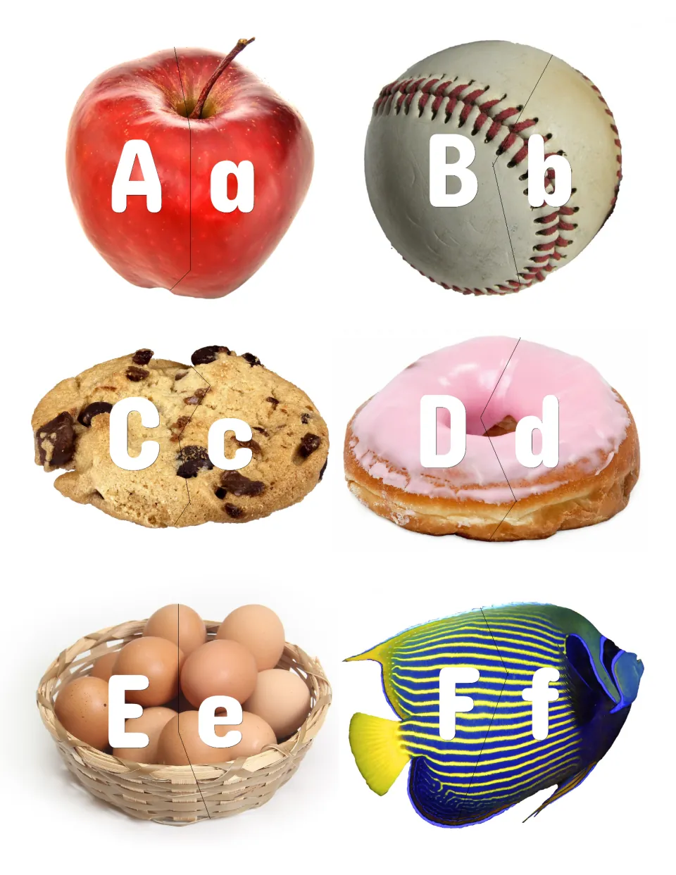 Letters A-F, photo-shaped pieces: students match Aa to Ff halves cut around apple, baseball, cookie, donut, eggs and fish