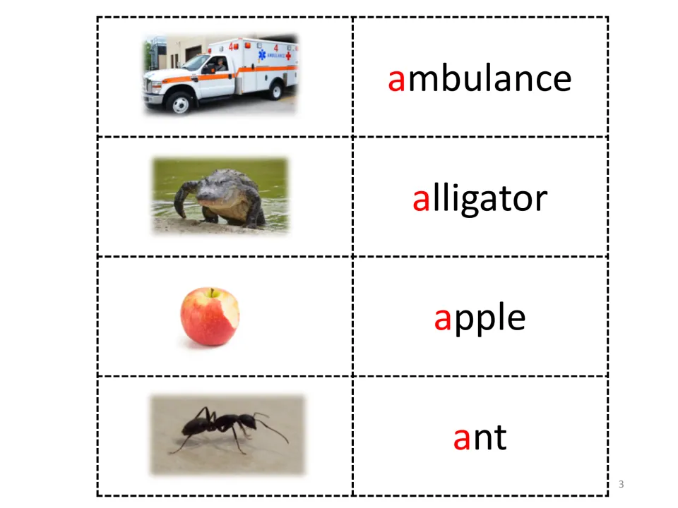 Letter A vocabulary cards: photos of an ambulance, alligator, apple and ant beside each word, with the initial a in red