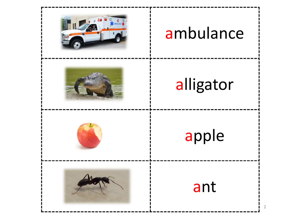 Letter A vocabulary page pairs ambulance, alligator, apple, and ant pictures with words highlighting initial a.