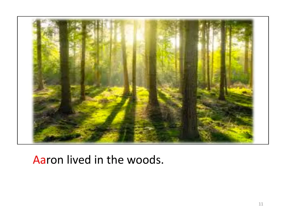 Story scene for adding cutouts shows a forest without Aaron and the sentence “Aaron lived in the woods.”