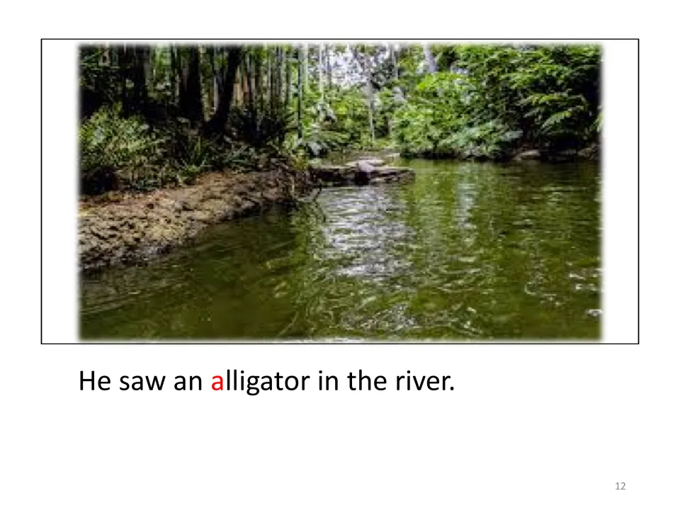Story scene for adding cutouts shows a river and the sentence “He saw an alligator in the river.”