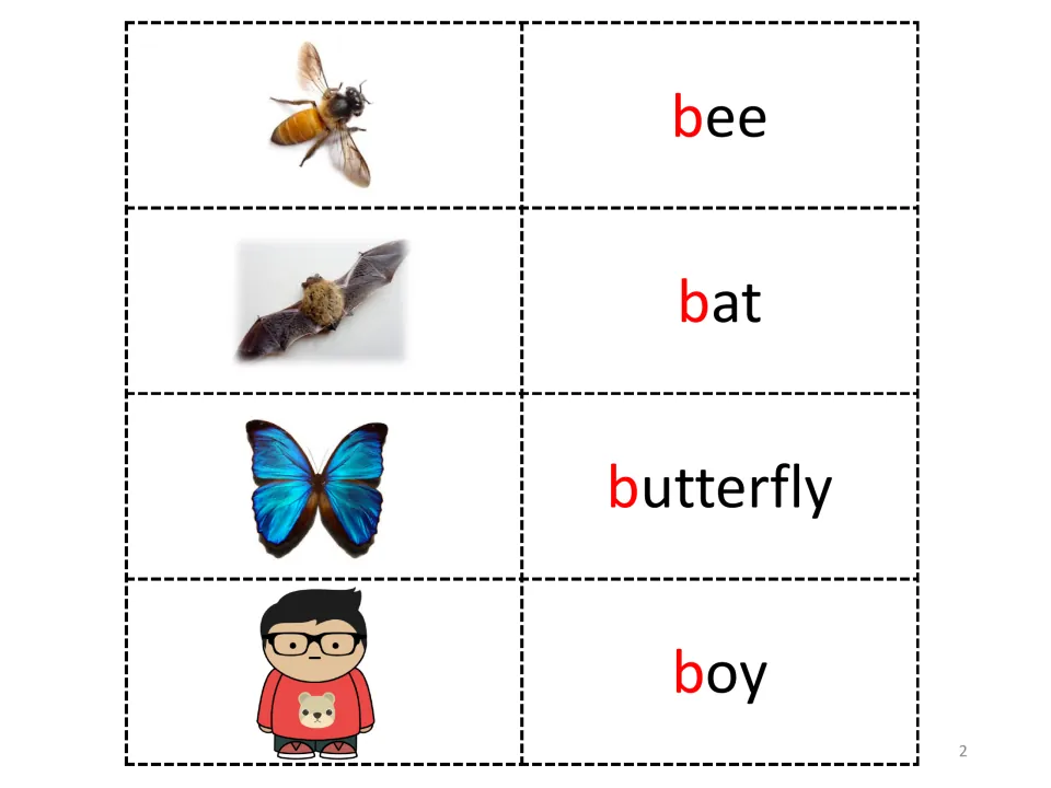 Letter B vocabulary page pairs pictures with bee, bat, butterfly, and boy, highlighting each initial b in red.