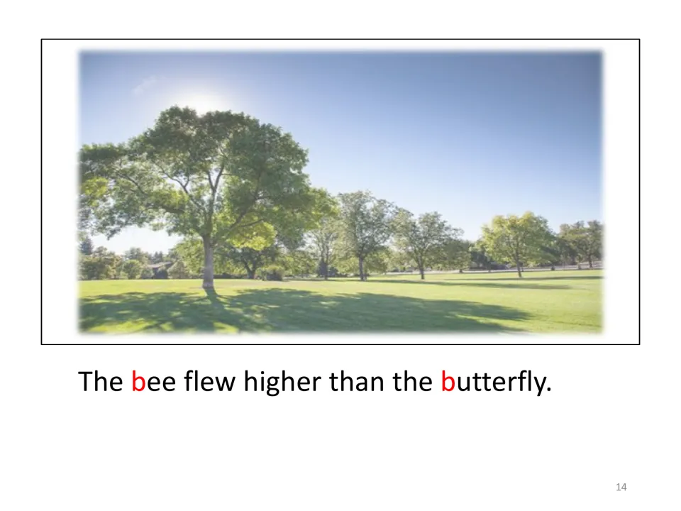 Story page for adding pictures has a park background and the sentence, “The bee flew higher than the butterfly.”