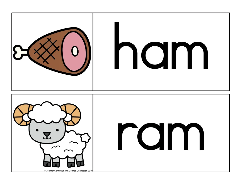 Short a -am words: ham card with a baked ham picture and ram card with a curly-horned sheep picture to match word to image