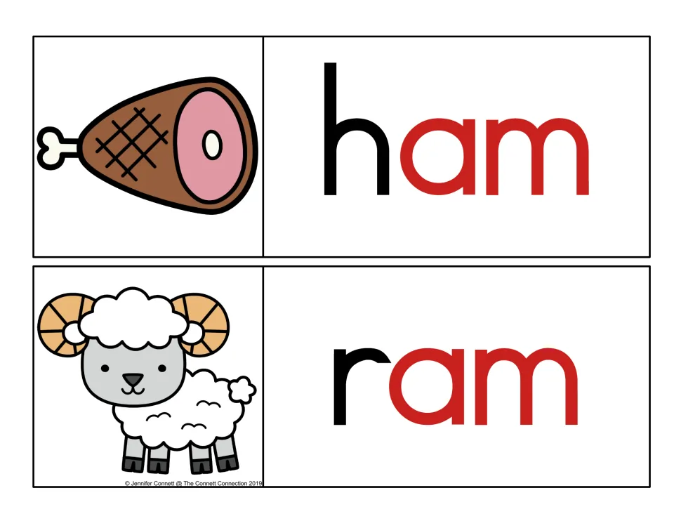 Color-coded -am word family cards for ham and ram, with h and r in black and the shared am ending in red beside pictures