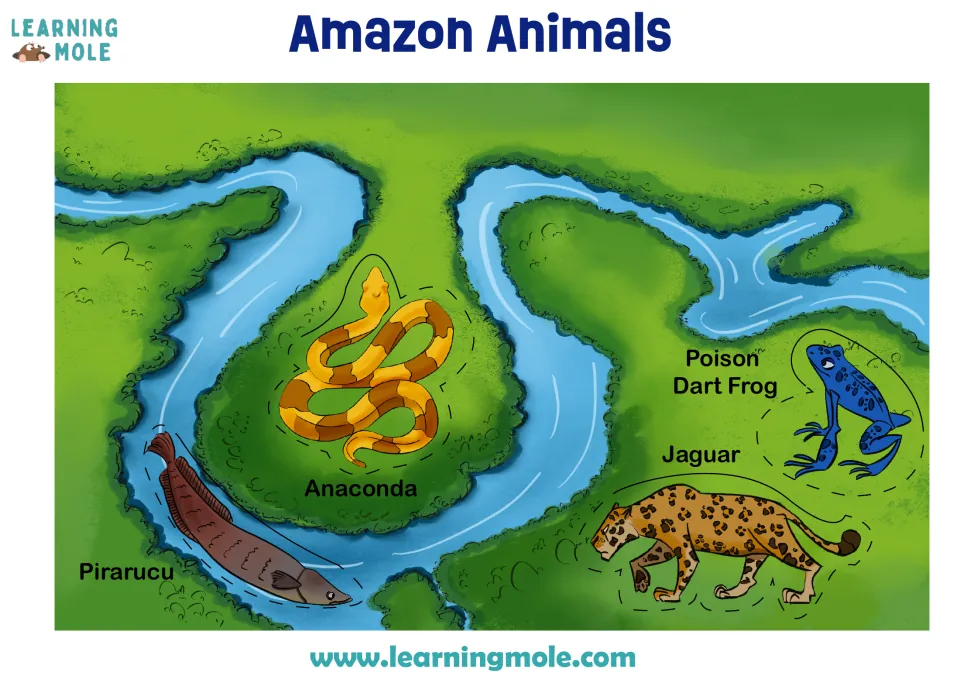 Amazon Animals river map with anaconda, jaguar, poison dart frog and pirarucu, each outlined in dashes to cut as a flap