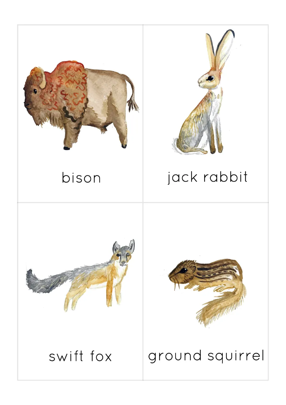 Prairie animal flashcards 1–4: bison, jackrabbit, swift fox and ground squirrel, each with a labeled picture