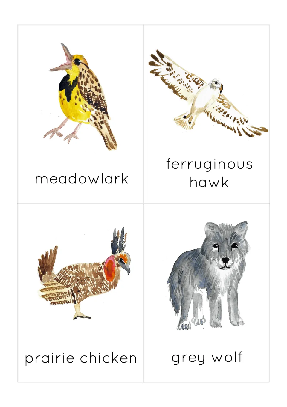 Prairie animal flashcards 5–8: meadowlark, ferruginous hawk, prairie chicken and gray wolf, with pictures