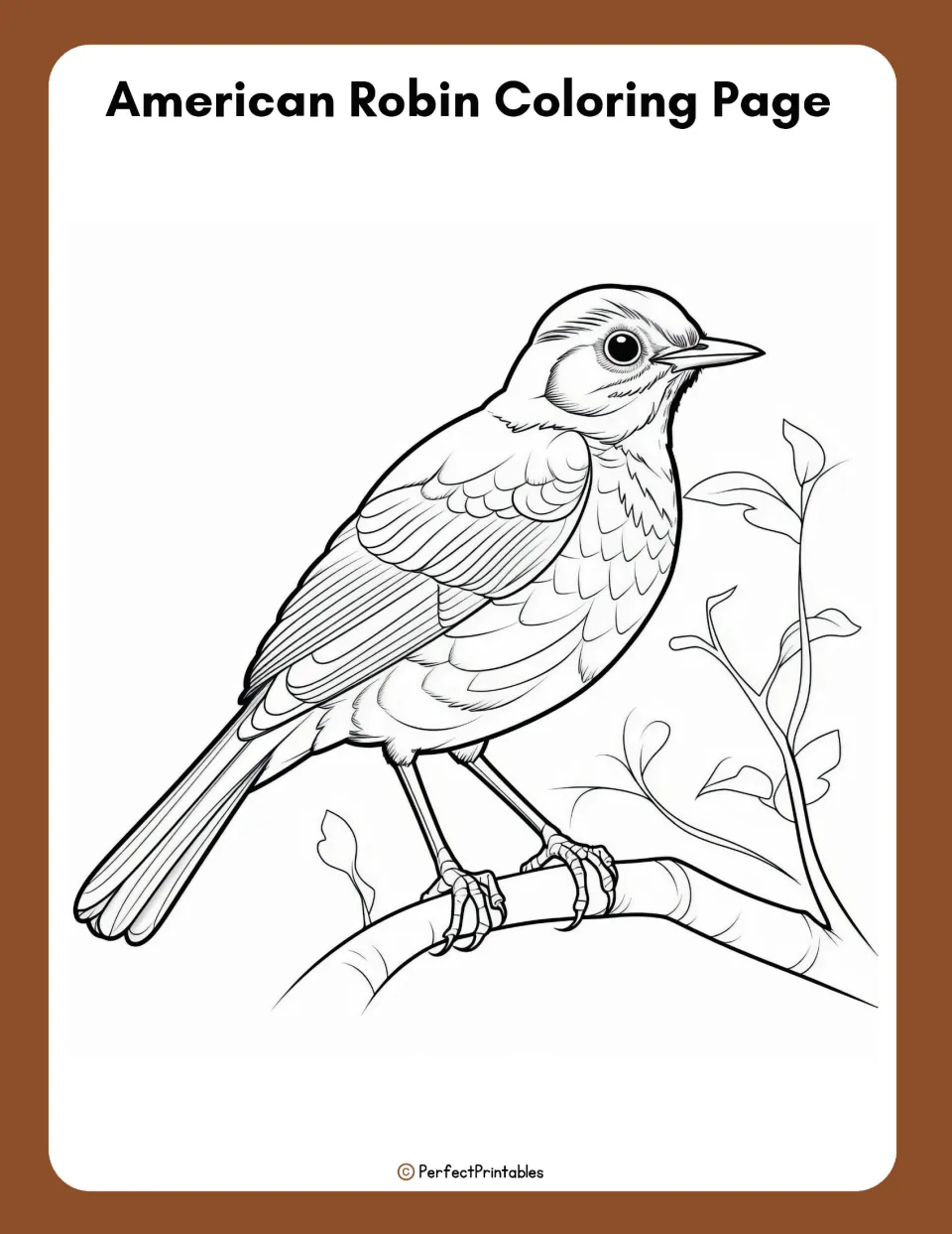 American Robin Coloring Page: line drawing of a robin perched on a branch with leaves for students to color in